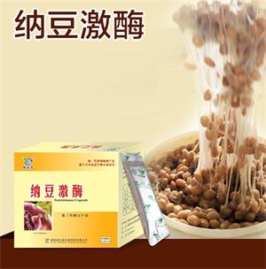 纳豆冻干粉纳豆激酶粉2克/袋*30袋纳豆冻干粉|msdalam kategori Makanan Kesihatan/makanan tambahan, 普通膳食营养食品, 菌/菇/酵素, 酵素 - dari Buy2taobao.com untuk memberikan perkhidmatan ejen Taobao profesional membeli