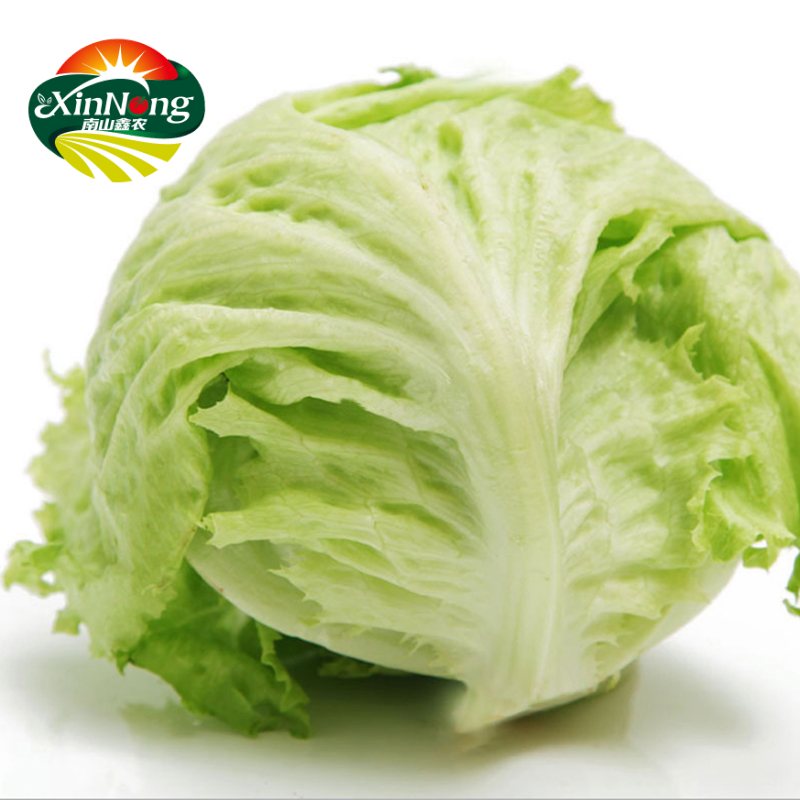 Nanshan Farm Production fresh Lettuce Round Lettuce Lettuce Salad hamburger Lettuce 300g Dressin the Aquatic meat/Fresh fruits and vegetables/Cooked , Fresh vegetables/Vegetable products , Fresh vegetables , Other category - from Buy2taobao.com to provide professional Taobao agent buy service