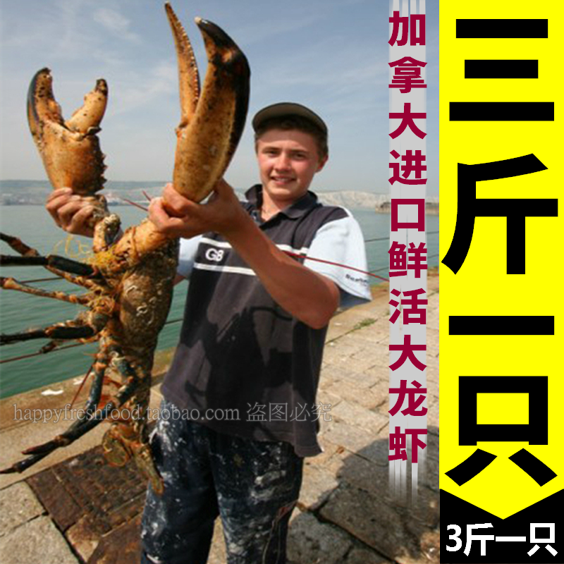 3斤一只 特大波士顿龙虾鲜活水产澳洲海鲜小龙虾新鲜超大10斤15斤在类目 水产肉类/新鲜蔬果/熟食, 海鲜/水产品/制品, 虾类, 活虾中 - 来自Buy2taobao.com提供专业的淘宝代购服务