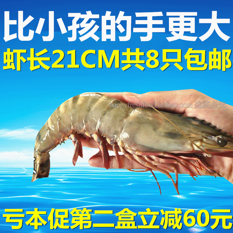 21cm大虾鲜活海鲜水产活虾超大基围虾冻虾海虾小龙虾对虾特大鲜虾在类目 水产肉类/新鲜蔬果/熟食, 海鲜/水产品/制品, 虾类, 虾类制品中 - 来自Buy2taobao.com提供专业的淘宝代购服务