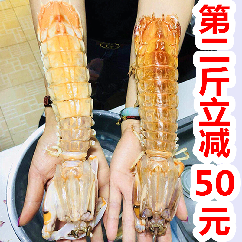 别清蒸,要红烧!新鲜水产大皮皮虾鲜活海鲜冷冻濑尿虾特大富贵虾在类目 水产肉类/新鲜蔬果/熟食, 海鲜/水产品/制品, 虾类, 虾类制品中 - 来自Buy2taobao.com提供专业的淘宝代购服务
