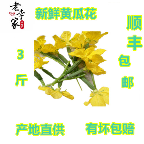 新鲜迷你小黄瓜花, 青瓜花, 一份三斤顺丰包邮在类目 水产肉类/新鲜蔬果/熟食, 新鲜蔬菜/蔬菜制品, 新鲜蔬菜, 其它中 - 来自Buy2taobao.com提供专业的淘宝代购服务