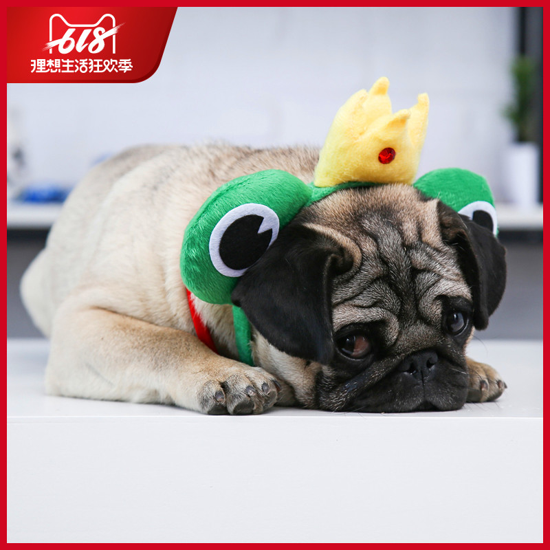 Pets Funny Frog Hair hoop Kitty Dogs lovely Headdress Maid Aunt Same item Funny Hair hoopin the Pet/Pet food and supplies , Pet apparel and accessories , Headdress category - from Buy2taobao.com to provide professional Taobao agent buy service