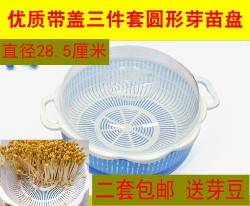 带盖三件套芽苗盘发芽苗发豆芽盘子芽苗菜种植盘加大加高新料包邮在类目 鲜花速递/花卉仿真/绿植园艺, 园艺用品, 育苗盘/营养钵中 - 来自Buy2taobao.com提供专业的淘宝代购服务