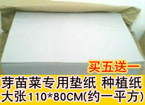 芽菜盘专用垫纸种植纸豆芽盘发豆芽芽苗菜芽苗盘大张育苗纸买5送1在类目 鲜花速递/花卉仿真/绿植园艺, 园艺用品, 育苗盘/营养钵中 - 来自Buy2taobao.com提供专业的淘宝代购服务