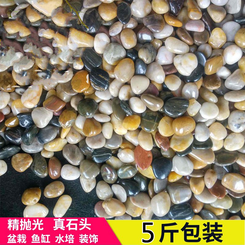 Multicolored stones Pure natural Pebble Stone Whitehead son Small potted Flower pot Decorative fish tank New productsin the Flower delivery/Flowers simulation/Plants gardening , Gardening supplies , Other Garden Supplies category - from Buy2taobao.com to provide professional Taobao agent buy service