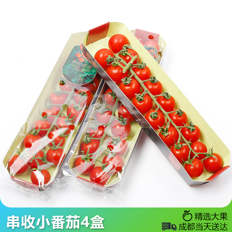 成都當天到 甘肅串收小番茄4盒*210g新鮮水果酸甜紅色番茄水果在類目 水產肉類/新鮮蔬果/熟食, 新鮮水果, 其它中 - 來自Buy2taobao.com提供專業的淘寶代購服務
