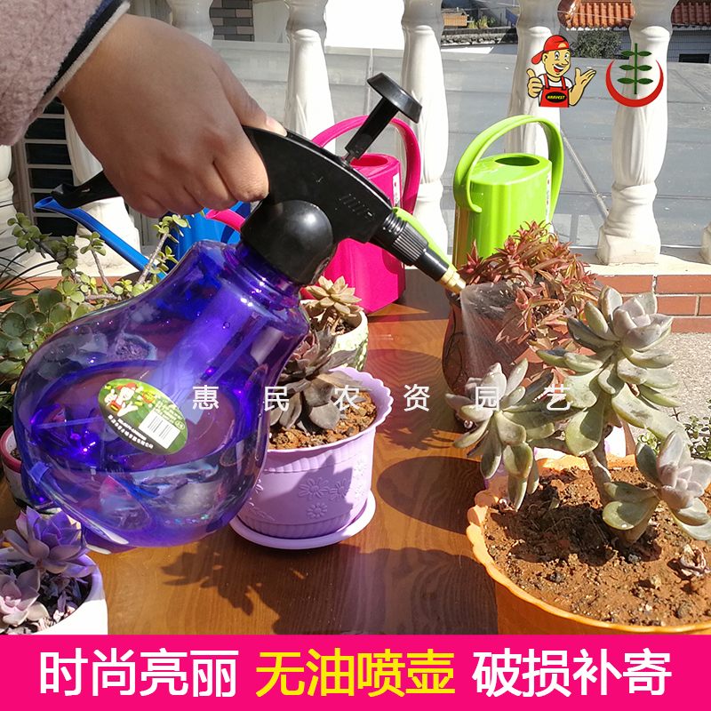 华丰透明气压式喷雾器小喷壶浇花喷水壶浇水壶洒水壶花洒特价包邮在类目 鲜花速递/花卉仿真/绿植园艺, 园艺用品, 小型喷雾壶中 - 来自Buy2taobao.com提供专业的淘宝代购服务
