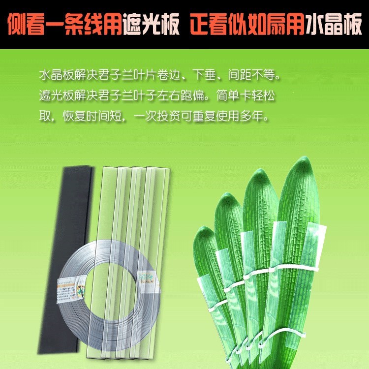君子兰整形固叶器君子兰叶片支架边柱锁家用纠校正器夹矫正线定型在类目 鲜花速递/花卉仿真/绿植园艺, 园艺用品, 其它园艺用品中 - 来自Buy2taobao.com提供专业的淘宝代购服务