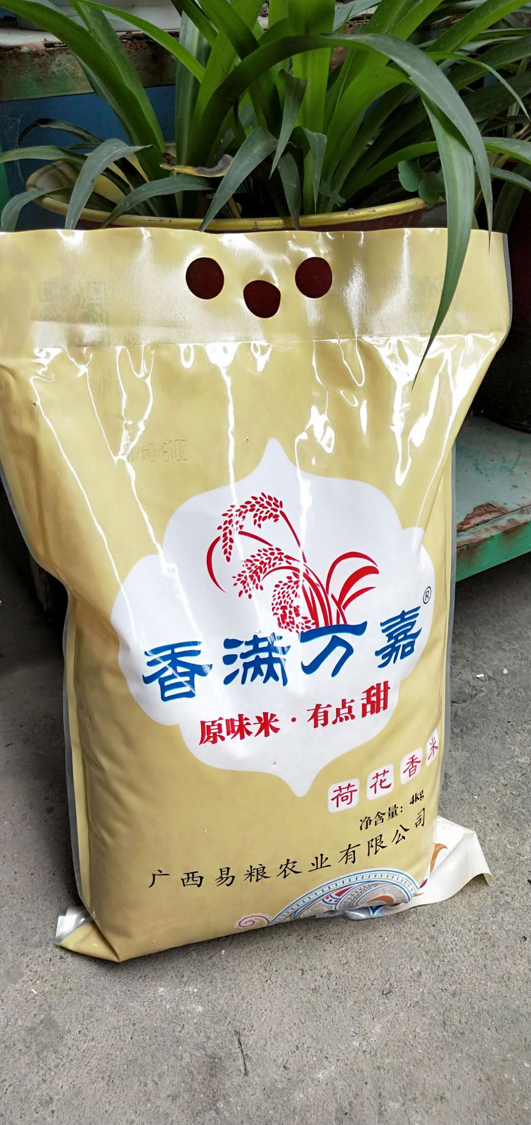 荷花香米南方大米小袋8斤送礼油粘米煲仔饭农家米4kg优质大米|msdalam kategori beras/Utara-Selatan barangan kering/perasa, meter/tepung/bijirin, RICE, Rice - dari Buy2taobao.com untuk memberikan perkhidmatan ejen Taobao profesional membeli
