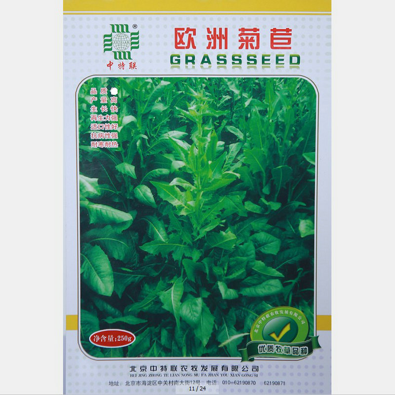 Europe Chicory seed Imported Perennial Cold-resistant High yield Four seasons Pasture South Swine and sheep Poultry packingin the Flower delivery/Flowers simulation/Plants gardening , Flowers/Fruits and vegetables/Lawn seed (New) , Home & Garden Seeds category - from Buy2taobao.com to provide professional Taobao agent buy service