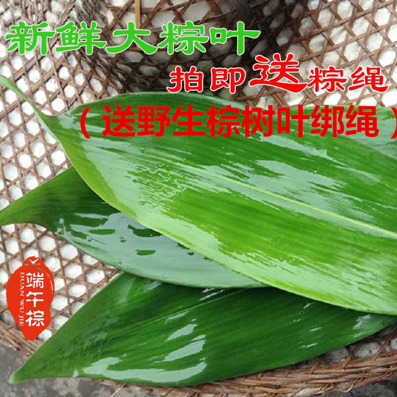 新鲜粽子叶大号棕叶野生端午节包粽子的叶子100张箬叶新叶送绑绳|ruв категории зерно риса/север и Юг сухих грузов/приправы, север и Юг сухих грузов/мясо сухих грузов, сухогрузный/родной, другие - от Buy2taobao.com для оказания профессиональной услуги покупки агента Taobao