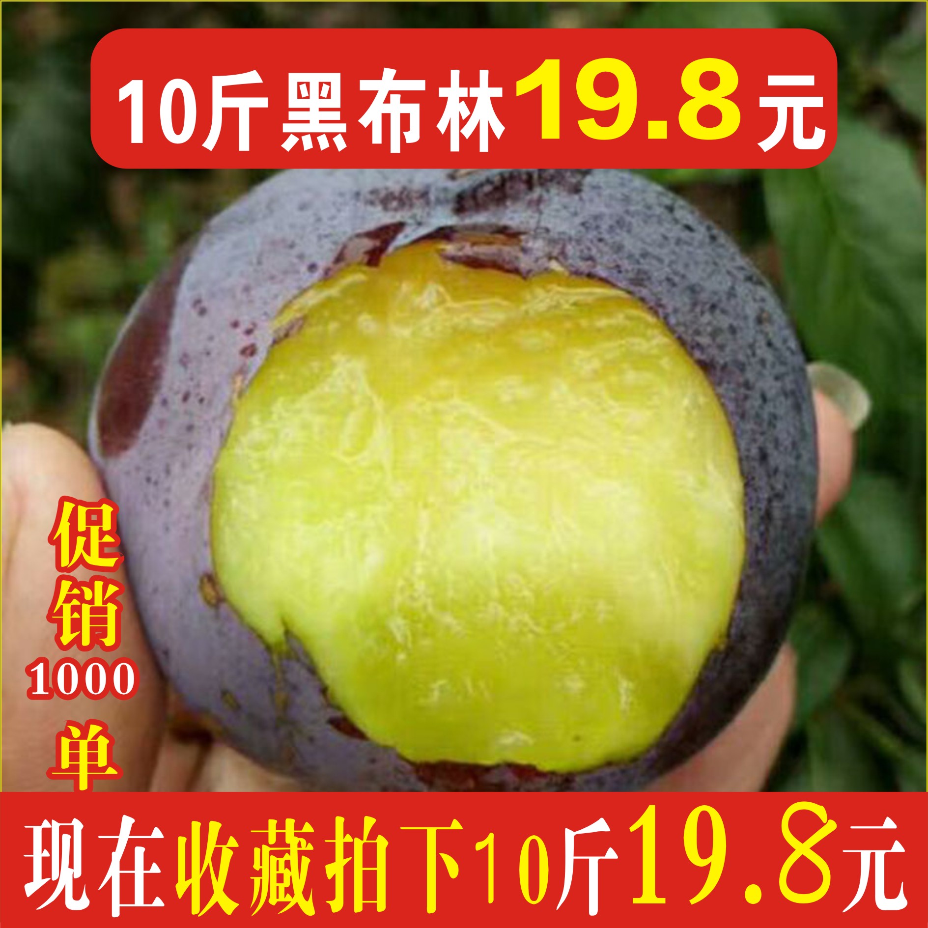 陝西10斤黑布林李子新鮮脆李當季特産現摘現發酸甜整箱孕婦水果在類目 水產肉類/新鮮蔬果/熟食, 新鮮水果, 李子中 - 來自Buy2taobao.com提供專業的淘寶代購服務