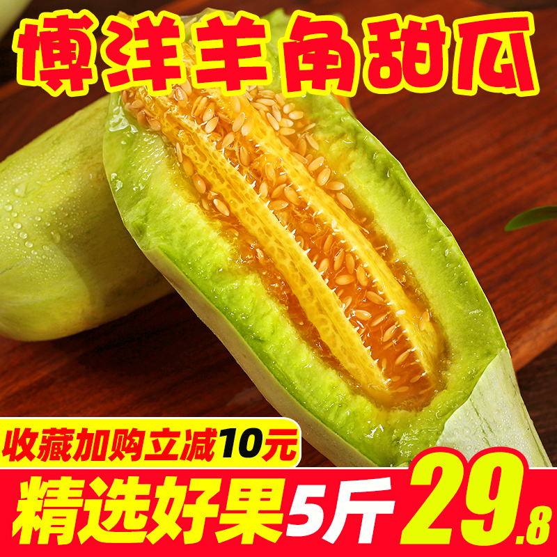 现摘山东羊角蜜甜瓜5斤包邮当季应季新鲜水果批发10博洋蜜香瓜|ruв категории водной мясо/свежие фрукты и овощи/еда, свежие фрукты, другие - от Buy2taobao.com для оказания профессиональной услуги покупки агента Taobao