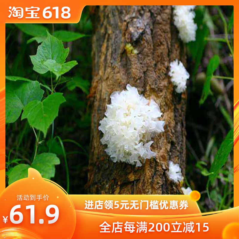 新货通江银耳孕妇儿童无硫野生天然椴木白耳小朵100g包邮在类目 粮油米面/南北干货/调味品, 南北干货/肉类干货, 干货/土特产, 银耳/白木耳中 - 来自Buy2taobao.com提供专业的淘宝代购服务