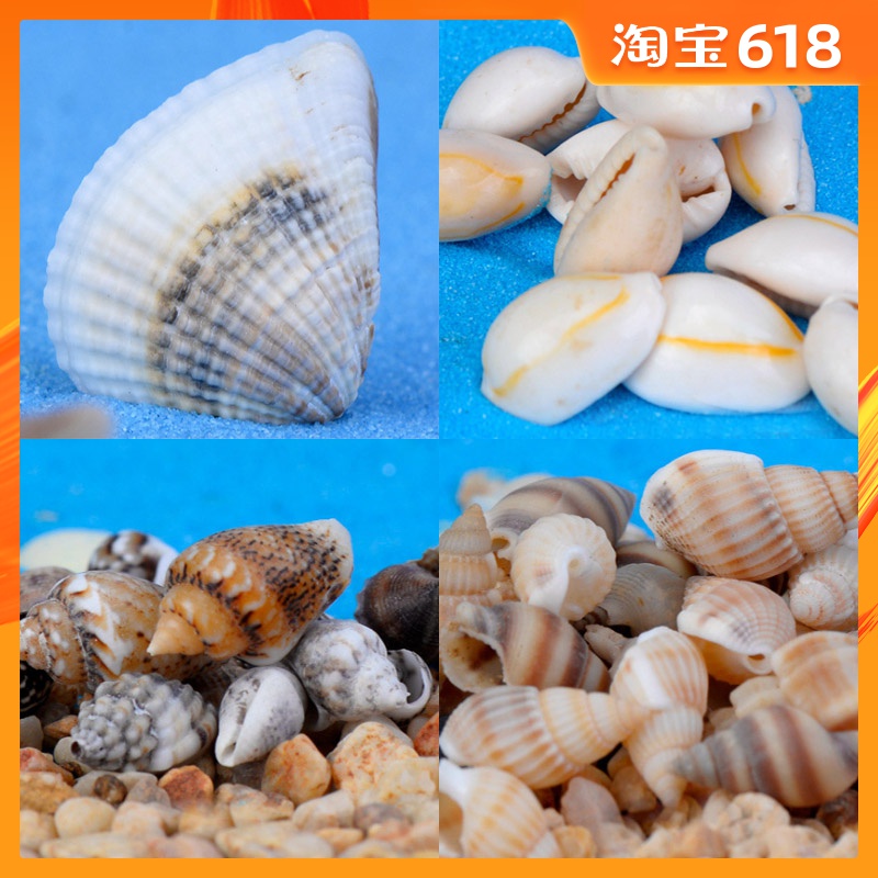 seascape source material Conch shell Starfish Wong Pui Polished rice Sailing Lighthouse Anchors Scenery Star Bottle Decorationin the Flower delivery/Flowers simulation/Plants gardening , Gardening supplies , Other Garden Supplies category - from Buy2taobao.com to provide professional Taobao agent buy service