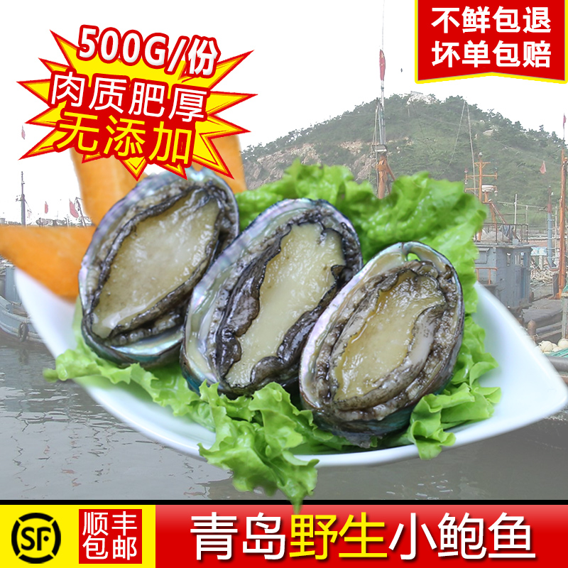 新鲜鲍鱼鲜活大个海鲜小鲍鱼水产鲜活崂山野生一斤约30-35头包邮在类目 水产肉类/新鲜蔬果/熟食, 海鲜/水产品/制品, 贝类, 鲍鱼中 - 来自Buy2taobao.com提供专业的淘宝代购服务