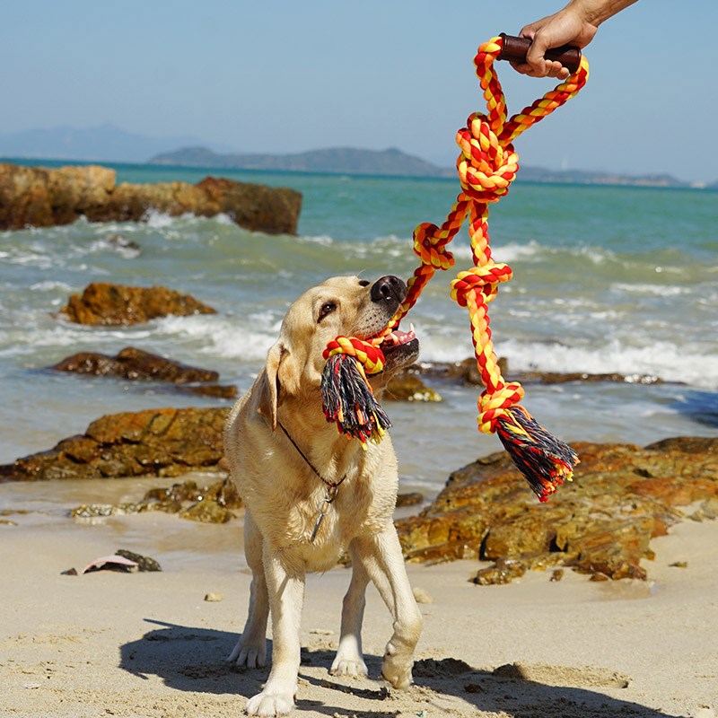 Outsize interaction Cotton rope knot Pets Toothpaste Molar Dogs Golden Retriever Labrador Big Dog Toysin the Pet/Pet food and supplies , Cat/Dog Toys , Knot Toys category - from Buy2taobao.com to provide professional Taobao agent buy service