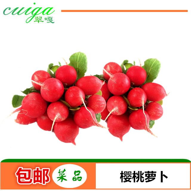 樱桃萝卜7斤 翠嘎新鲜沙拉蔬菜单品十八省市包邮 迷你水果小萝卜|msdalam kategori daging perikanan/Buah-buahan segar dan sayur-sayuran/dimasak, sayur-sayuran segar/Vegetable Products, sayur-sayuran segar, lain - dari Buy2taobao.com untuk memberikan perkhidmatan ejen Taobao profesional membeli