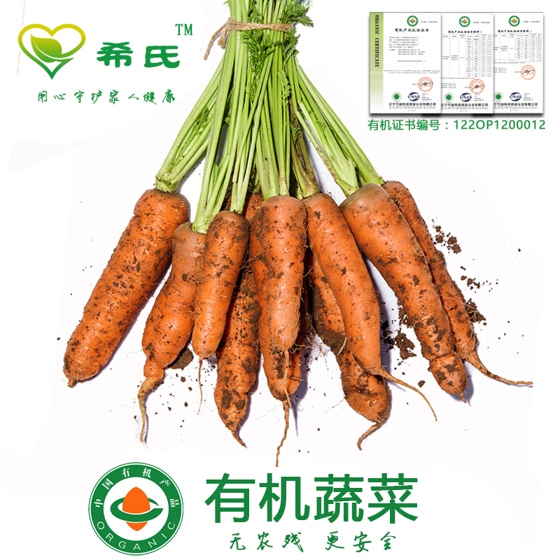 green Organic Vegetables Distribution fruit Carrot fresh finger Mini snacks Farm Same city Vegetables Saladin the Aquatic meat/Fresh fruits and vegetables/Cooked , Fresh vegetables/Vegetable products , Fresh vegetables , Other category - from Buy2taobao.com to provide professional Taobao agent buy service
