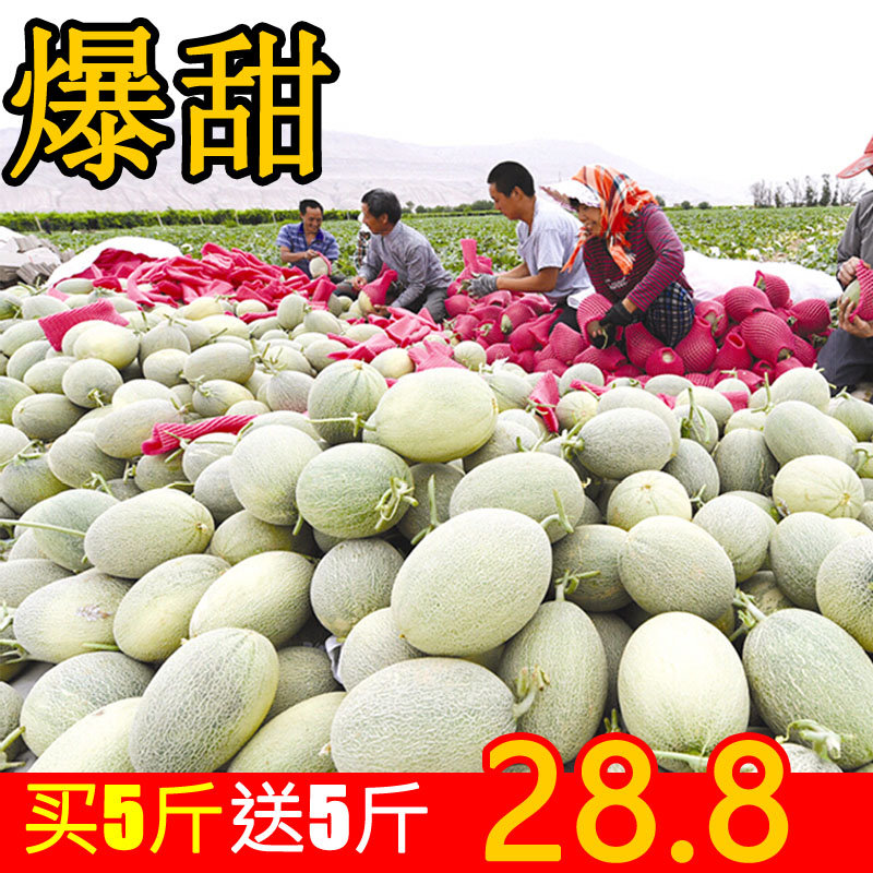 Xinjiang Hami melon 10 fresh fruit Xi Zhou Xiaomi Turpan Netted Cantaloupe Fragrant and sweetin the Aquatic meat/Fresh fruits and vegetables/Cooked , Fresh fruit , Cantaloupe category - from Buy2taobao.com to provide professional Taobao agent buy service