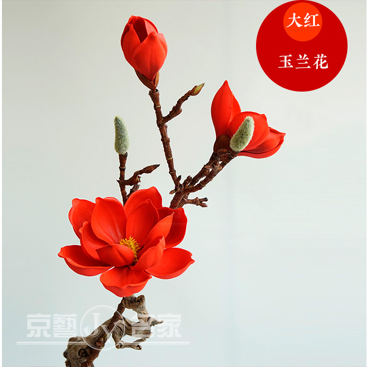 仿真白玉兰客厅干枝插花eva长枝花瓶家居摆件餐桌装饰花假花|ruв категории Домашний быт, ваза/цветок/искусственные цветы/моделирование украшения, искусственные цветы/искусственные цветы - от Buy2taobao.com для оказания профессиональной услуги покупки агента Taobao
