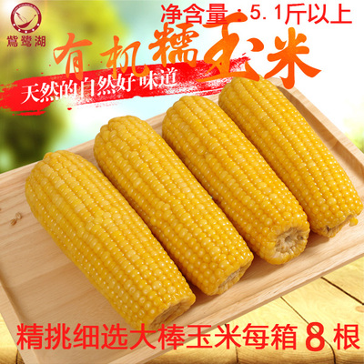 鴜鹭湖玉米黄糯玉米有机玉米东北粘玉米新鲜苞米棒真空玉米2.5kg