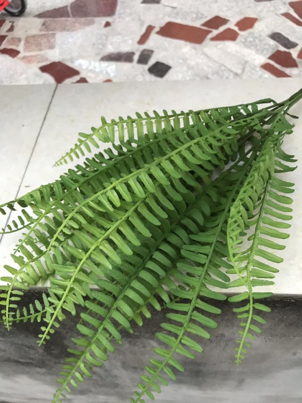 新款仿真蕨類植物把束排草山草羊齒蕨背景牆酒店餐廳工程插花葉子在類目 節慶用品/禮品, 婚慶佈景/道具, 花瓣/仿真花瓣中 - 來自Buy2taobao.com提供專業的淘寶代購服務