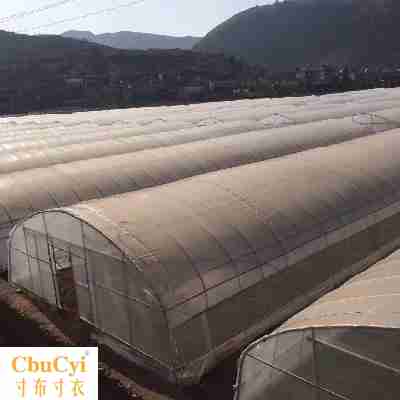 parts Vegetables /82 Steel pipe rack 625 greenhouse greenhouse 20195 Type greenhouse shed Frame skeletonin the Flower delivery/Flowers simulation/Plants gardening , Gardening supplies , Other Garden Supplies category - from Buy2taobao.com to provide professional Taobao agent buy service