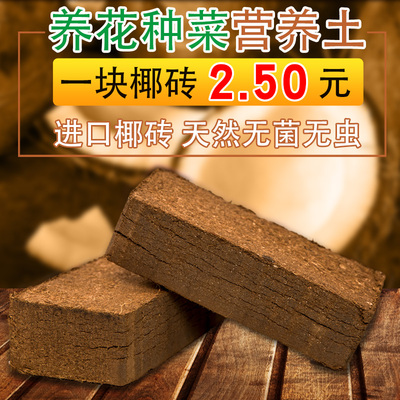 无菌椰粉椰砖椰土兰花土营养土无土栽培[宠物垫材]种菜多肉土包邮