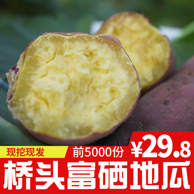 海南桥头地瓜富硒板栗红薯新鲜小香薯蜜薯 农家5斤包邮番薯沙地薯|ruв категории водной мясо/свежие фрукты и овощи/еда, свежие овощи/овощной продукции, свежие овощи, сладкий картофель - от Buy2taobao.com для оказания профессиональной услуги покупки агента Taobao