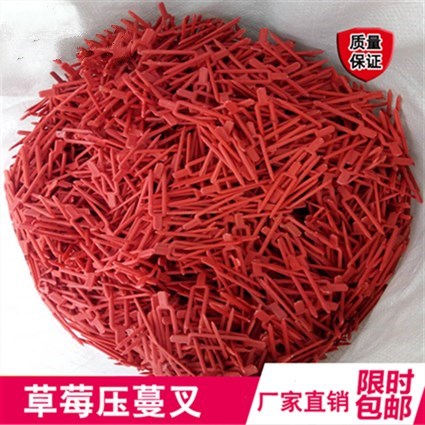 蔓生藤蔓植物壓蔓叉子植物藤蔓草莓育苗生根甜瓜壓蔓固定器在類目 鮮花速遞/花卉仿真/綠植園藝, 園藝用品, 其它園藝用品中 - 來自Buy2taobao.com提供專業的淘寶代購服務