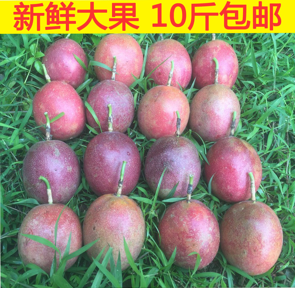 广西百香果新鲜水果10斤大红果农家热带西番莲鸡蛋果酸爽香甜包邮在类目 水产肉类/新鲜蔬果/熟食, 新鲜水果, 百香果中 - 来自Buy2taobao.com提供专业的淘宝代购服务