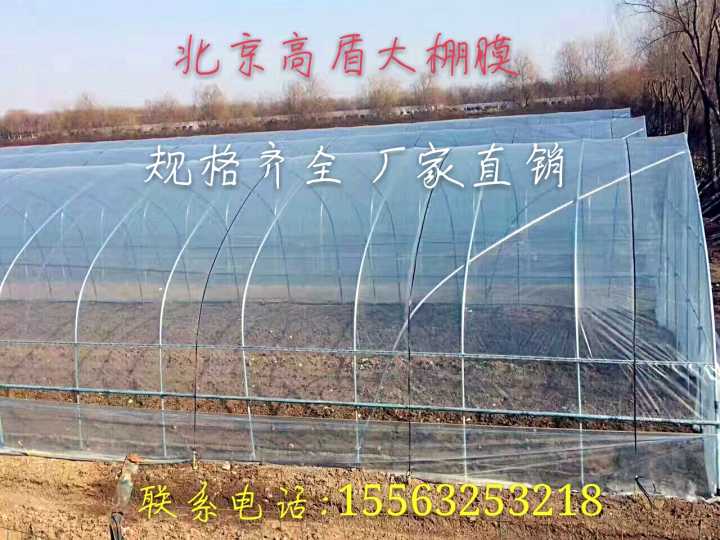 加厚蔬菜大棚膜塑料薄膜无滴膜po膜抗老化薄膜塑料温室压边流滴膜在类目 农机/农具/农膜, 农膜/篷布/遮网/大棚, 农用薄膜中 - 来自Buy2taobao.com提供专业的淘宝代购服务