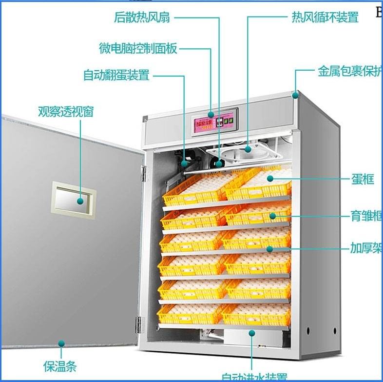 恒温智能孵化机鸡育雏大型温控器电脑功能机器鸟蛋设备家庭配件|ruв категории оборудование/инструменты, приборы, электрический инструмент - от Buy2taobao.com для оказания профессиональной услуги покупки агента Taobao