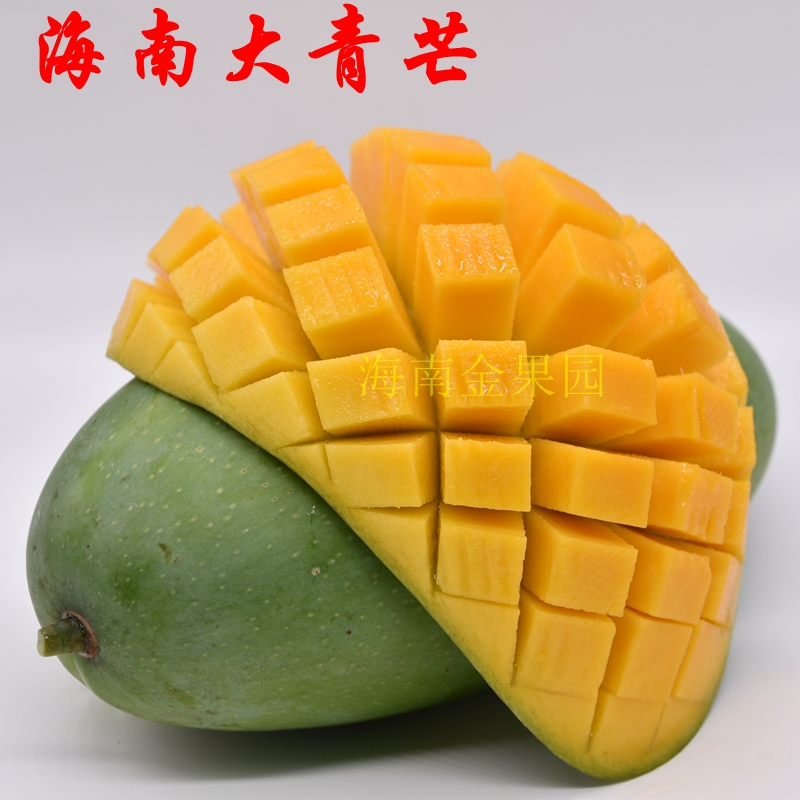 海南三亚水果新鲜青皮芒大青芒金煌芒mango芒果10斤装包邮在类目 水产肉类/新鲜蔬果/熟食, 新鲜水果, 芒果中 - 来自Buy2taobao.com提供专业的淘宝代购服务