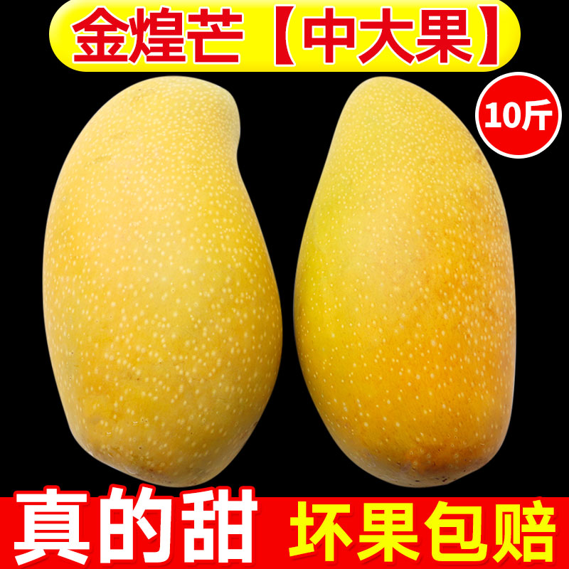 金煌芒果带箱10斤海南特产应季水果新鲜当季整箱水仙芒果大青芒果在类目 水产肉类/新鲜蔬果/熟食, 新鲜水果, 芒果中 - 来自Buy2taobao.com提供专业的淘宝代购服务