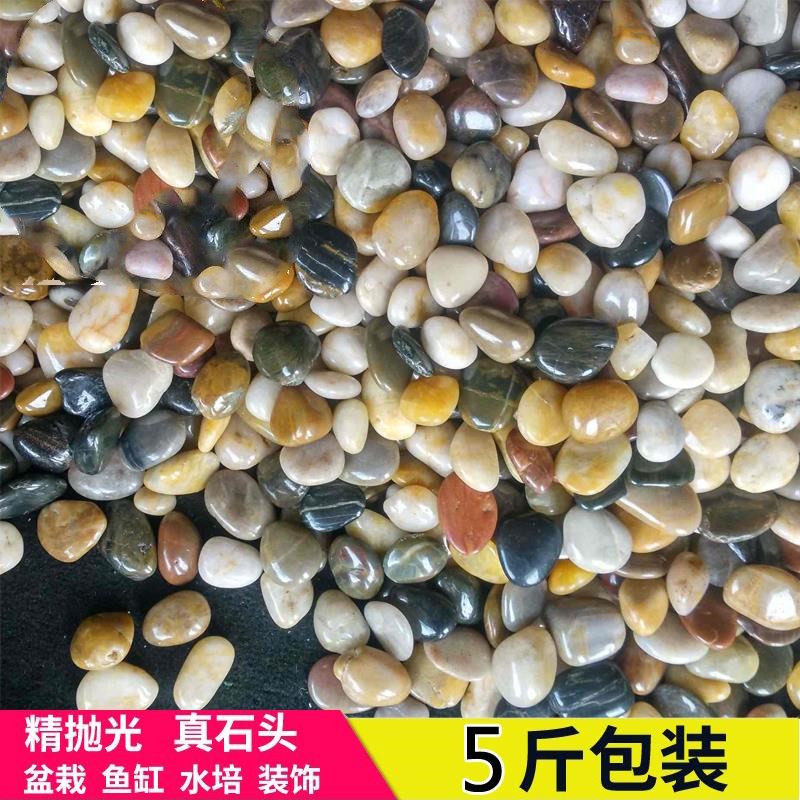 卵石 鹅卵石滤料过滤水质鹅装用鹅卵 园艺铺石 水处理卵石承托层|ruв категории доставка цветов/цветок моделирования/растения садоводства, садовых принадлежностей, других садовых принадлежностей - от Buy2taobao.com для оказания профессиональной услуги покупки агента Taobao