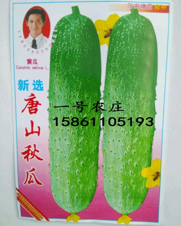 cucumber seed Tangshan Climbing Cucumber balcony Fruits and vegetables Vegetables seed spring and autumn seedin the 3C Digital Accessories, EBook Accessories , Electronic paper book data line category - from Buy2taobao.com to provide professional Taobao agent buy service