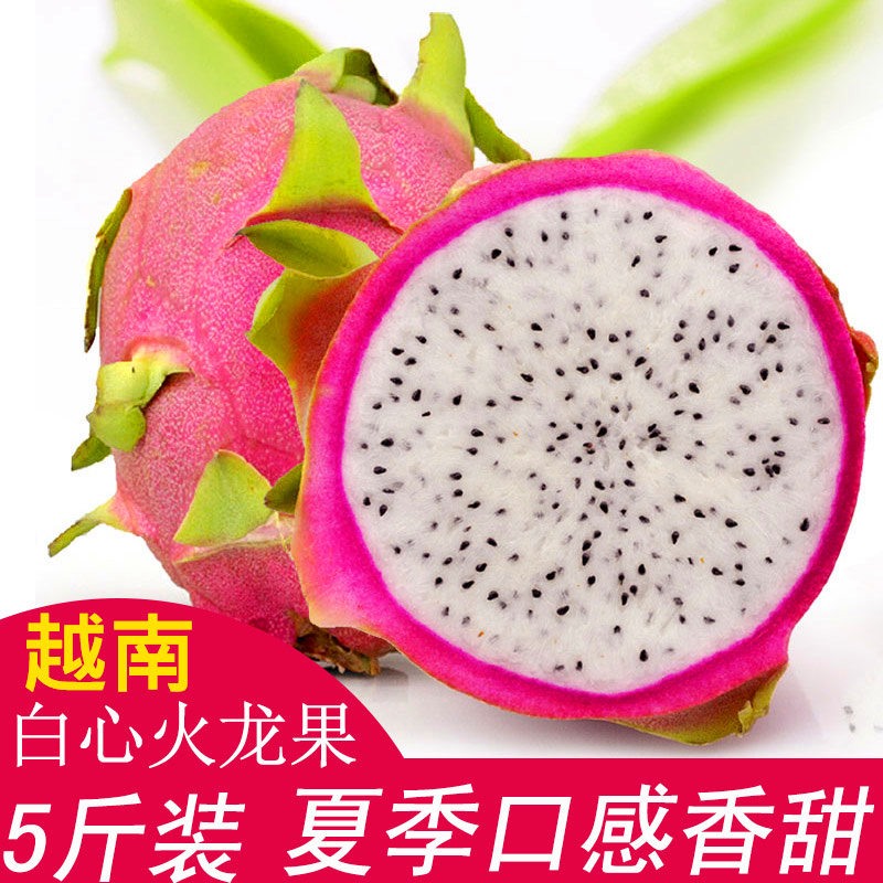 越南进口白心火龙果5斤热带新鲜水果非红心时令生鲜水果包邮在类目 水产肉类/新鲜蔬果/熟食, 新鲜水果, 火龙果中 - 来自Buy2taobao.com提供专业的淘宝代购服务