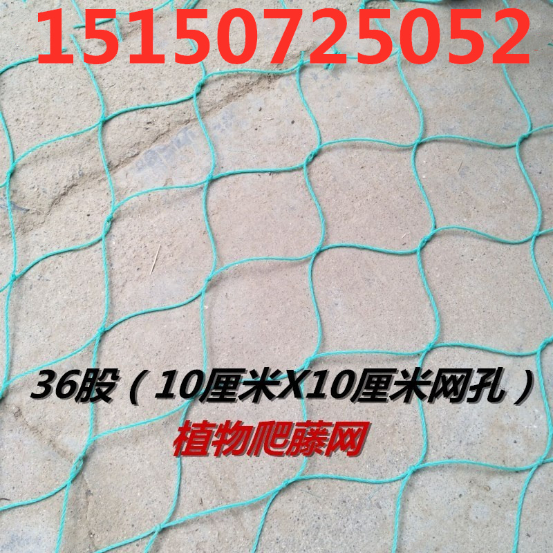 园艺爬藤网 尼龙网 蔬菜瓜果百香果丝瓜黄瓜葡萄爬藤网架种植网|ruв категории доставка цветов/цветок моделирования/растения садоводства, садовых принадлежностей, других садовых принадлежностей - от Buy2taobao.com для оказания профессиональной услуги покупки агента Taobao