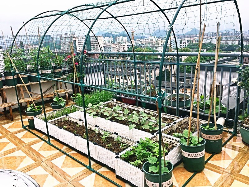 冬季溫室家用骨架爬藤大棚遮陽網鍍鋅鋼管花菜防雨保溫被暖房多肉在類目 鮮花速遞/花卉仿真/綠植園藝, 園藝用品, 其它園藝用品中 - 來自Buy2taobao.com提供專業的淘寶代購服務