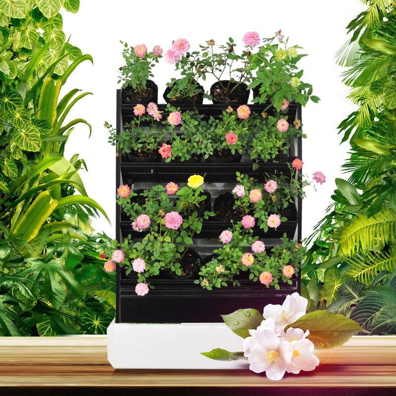 自动花架花盆浇水定时浇灌水循环垂直立体智能植物墙壁挂组合挂墙|ruв категории доставка цветов/цветок моделирования/растения садоводства, ваза/цветок/горшок/цветок (новый), цветок - от Buy2taobao.com для оказания профессиональной услуги покупки агента Taobao