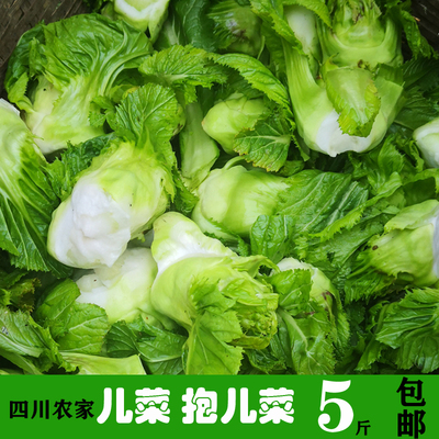 四川儿菜新鲜包邮抱儿菜新鲜 5斤耳菜 四川 儿菜泡菜娃娃菜咸菜