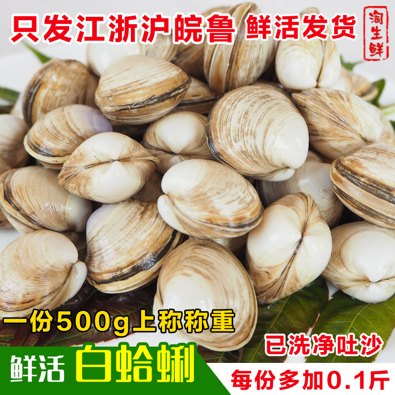 连云港野生白蛤蜊海鲜鲜活白蚬子白甲海贝活贝活体发已去泥沙500g|ruв категории водной мясо/свежие фрукты и овощи/еда, морепродукты/водные продукты/изделия, моллюски, моллюсков изделия - от Buy2taobao.com для оказания профессиональной услуги покупки агента Taobao