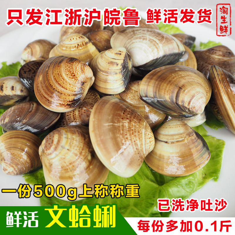 连云港海产品生鲜蛤蜊文蛤蜊蚶仔海贝鲜文蛤粉蛲花蛤蜊500g已吐沙|ruв категории водной мясо/свежие фрукты и овощи/еда, морепродукты/водные продукты/изделия, моллюски, моллюсков изделия - от Buy2taobao.com для оказания профессиональной услуги покупки агента Taobao