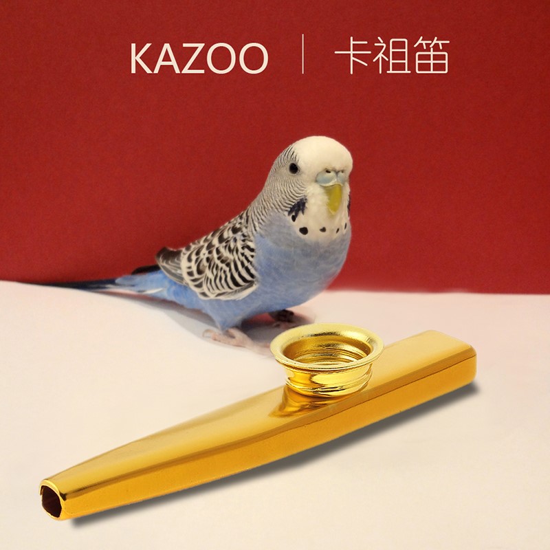 不用学会的乐器大全kazoo便携式卡祖笛金属专业演奏级卡组笛|msdalam kategori Alat muzik/Guitar/Piano/Fitting, alat-alat muzik barat, alat muzik yang lain Western, alat muzik yang lain Western - dari Buy2taobao.com untuk memberikan perkhidmatan ejen Taobao profesional membeli