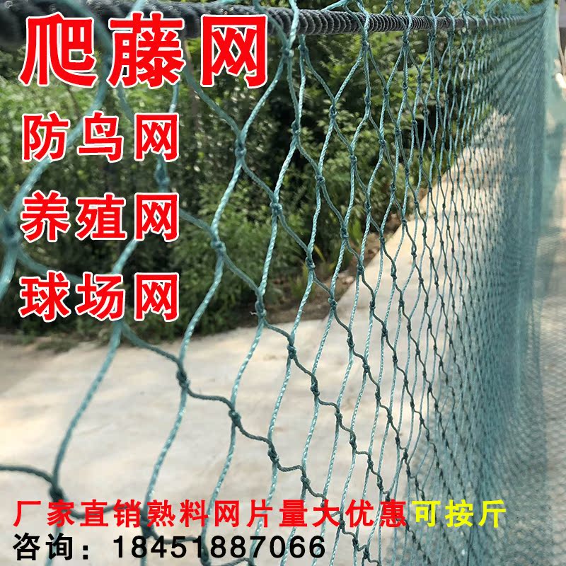 蔬菜植物爬藤网防鸟网球场网家禽养殖网拦鸡网养殖网渔网包邮|msdalam kategori penghantaran bunga/bunga simulasi/tumbuhan berkebun, Gardening Supplies, Peralatan Perkebunan lain - dari Buy2taobao.com untuk memberikan perkhidmatan ejen Taobao profesional membeli