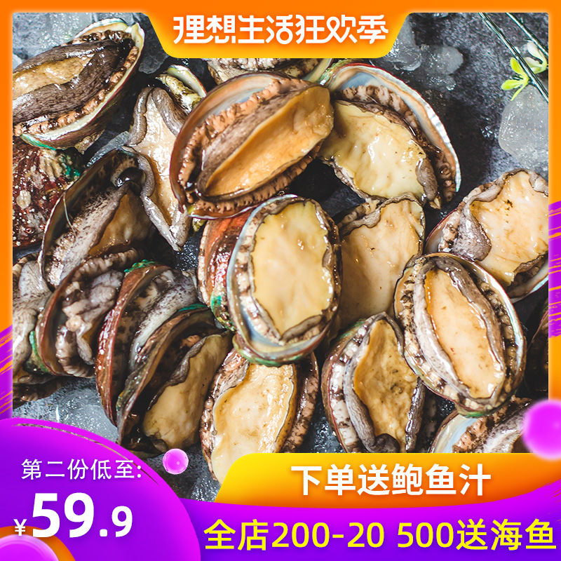 Qingdao specialty Laoshan Chilled Fresh fresh Abalone Shellfish Seafood Aquatic products wild 25-35 headin the Aquatic meat/Fresh fruits and vegetables/Cooked , Seafood/Aquatic/Product , Shellfish , Abalone category - from Buy2taobao.com to provide professional Taobao agent buy service