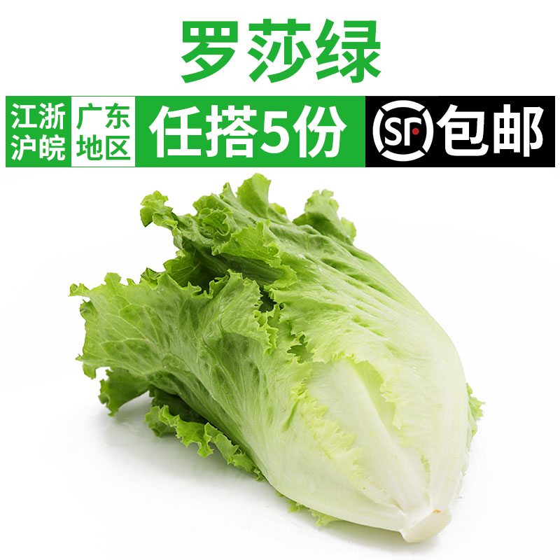 羅沙綠生菜250克 新鮮沙拉蔬菜色拉食材羅莎綠葉生菜 5件順豐包郵在類目 水產肉類/新鮮蔬果/熟食, 新鮮蔬菜/蔬菜製品, 新鮮蔬菜, 其它中 - 來自Buy2taobao.com提供專業的淘寶代購服務
